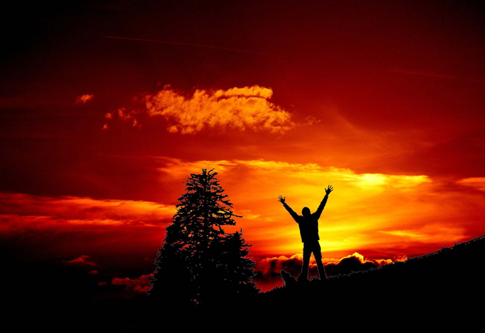 The Relationship Between Wellness and PT